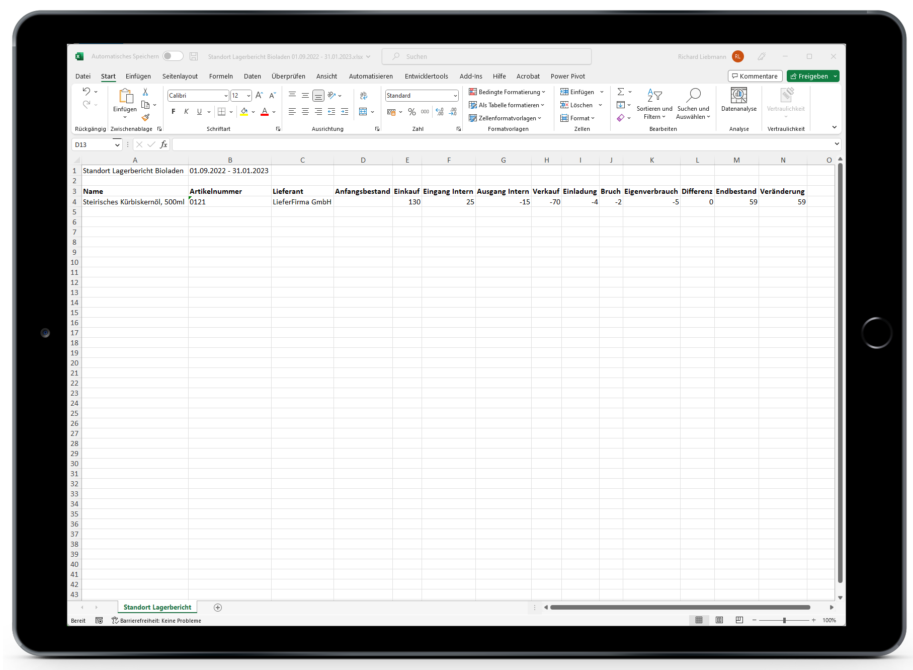 Lager Standortbericht Excel.png